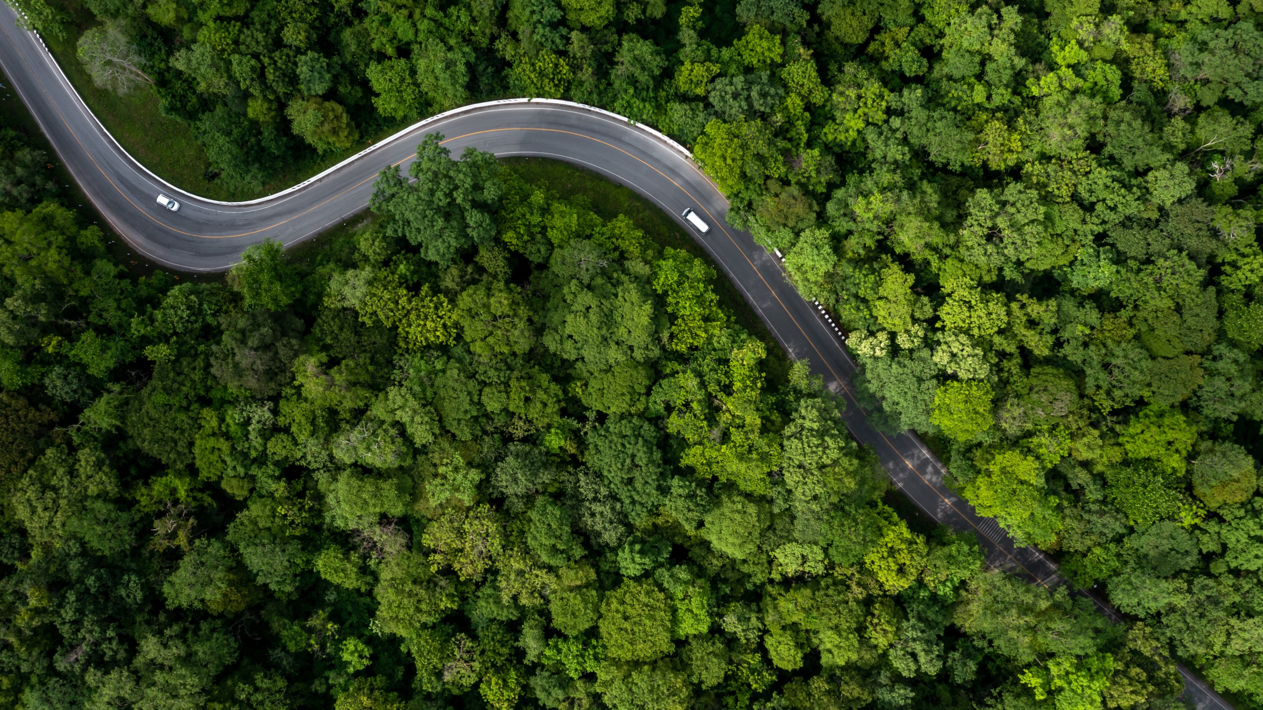 Ein dunkler Allrad-Wohnmobil fährt über eine Landstraße in einer weitläufigen grünen Landschaft, beleuchtet von Sonnenstrahlen, die durch eine dramatische Wolkenfront hindurchscheinen.
