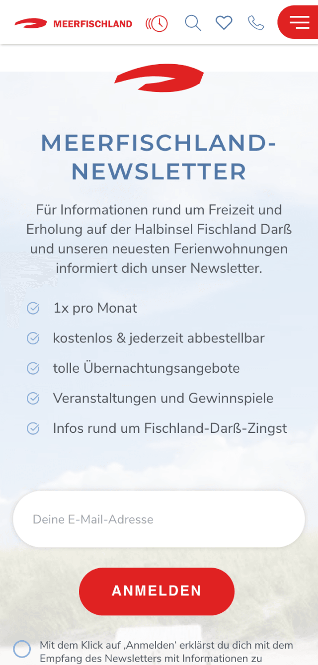 Phone Screenshot von der Newsletter Anmeldung mit erklärendem Text, was den User inhaltlich erwartet und in welchem Abstand.