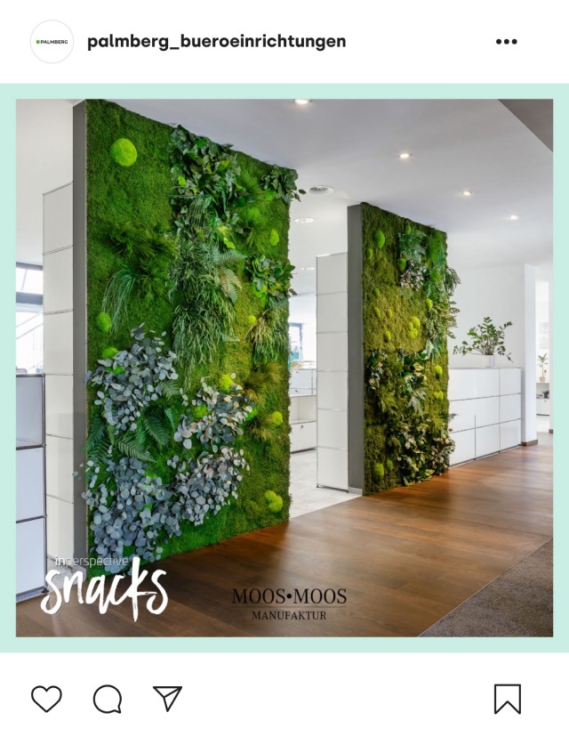 Instagram-Beitrag von palmberg_bueroeinrichtungen mit einem Bild von begrünten Mooswänden im Büro, erstellt von der Moos-Moos Manufaktur, unter dem Titel 'snacks'.