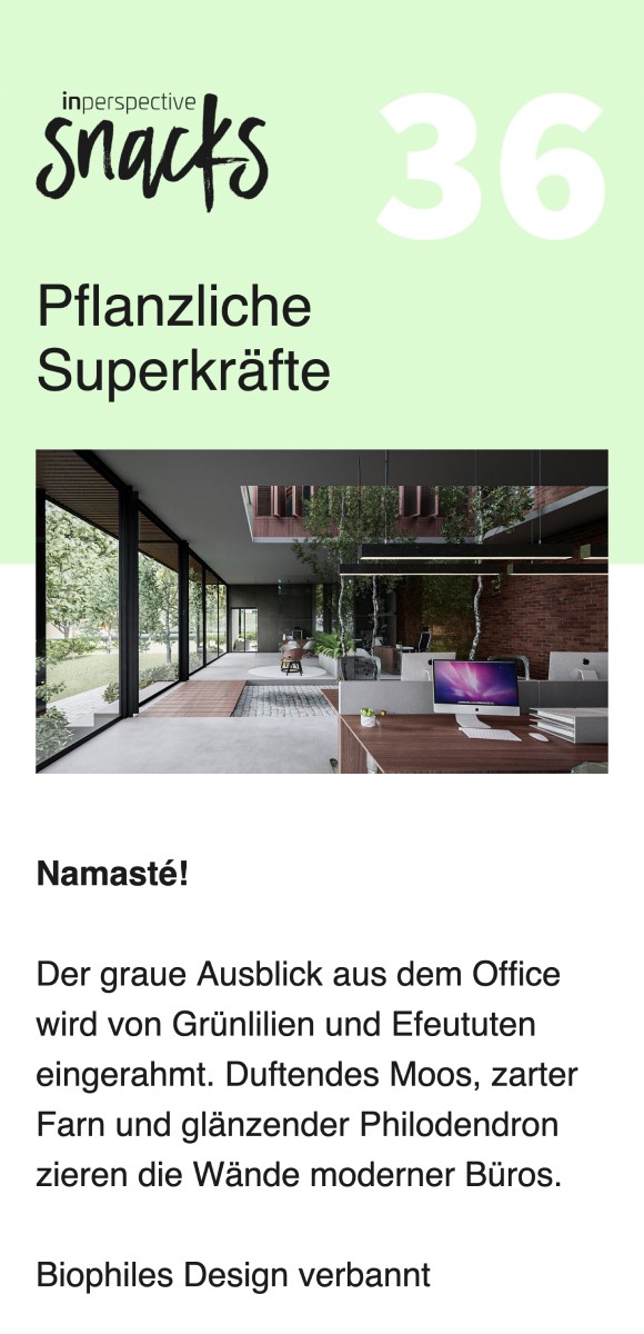 Newsletter-Screenshot mit der Überschrift 'Pflanzliche Superkräfte' und einem modernen Bürobereich mit vielen Pflanzen, sowie Text über die Integration von Pflanzen in das Bürodesign.