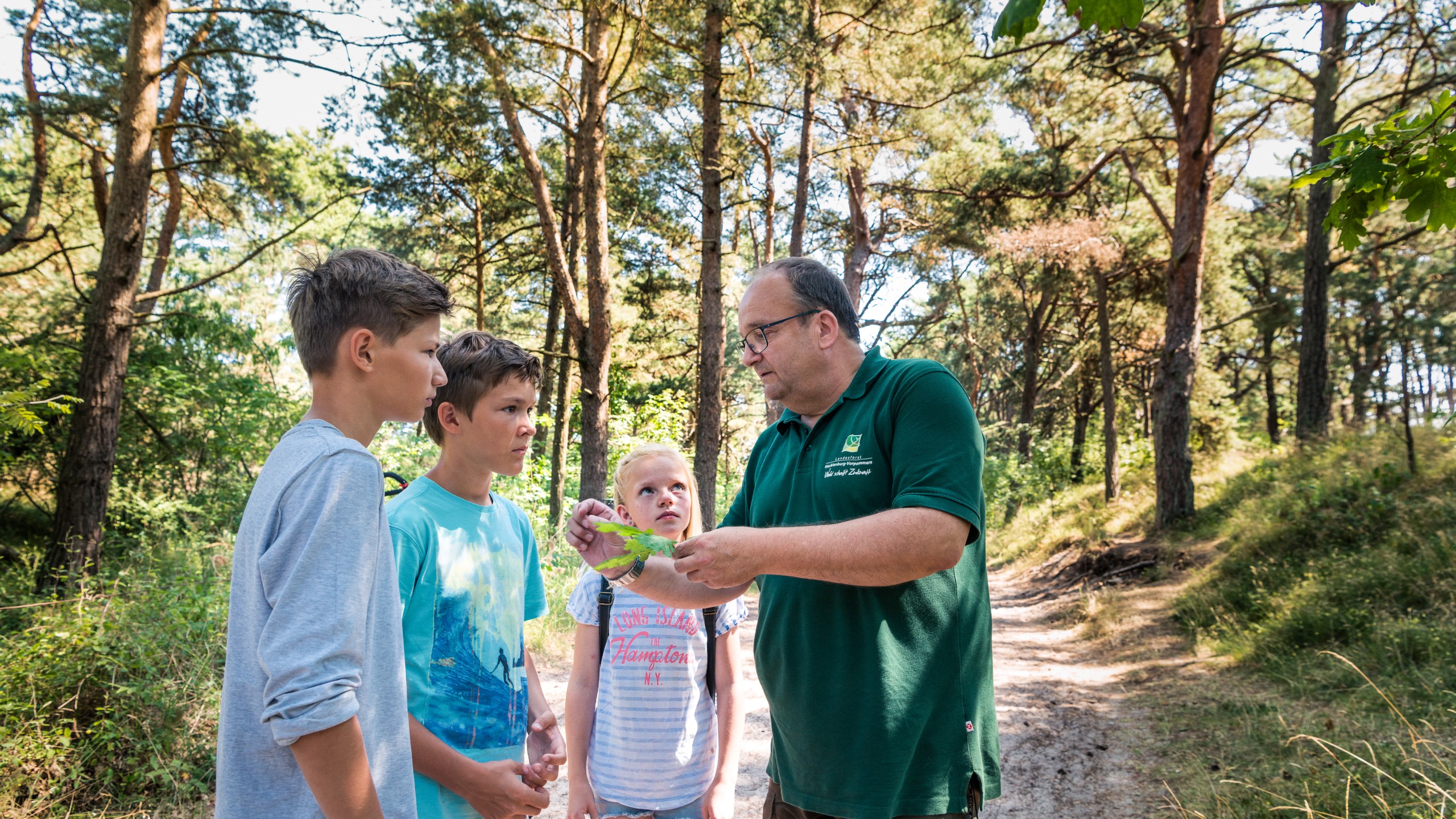 Naturführung im Wald auf der Insel Usedom: Ein Naturführer in grüner Kleidung erklärt einer Gruppe interessierter Kinder die Pflanzenwelt. Umgeben von hohen Bäumen und einem sonnigen Waldweg, wird ein lehrreiches und naturnahes Erlebnis vermittelt. Ideal für Familienausflüge und Umweltbildung.
