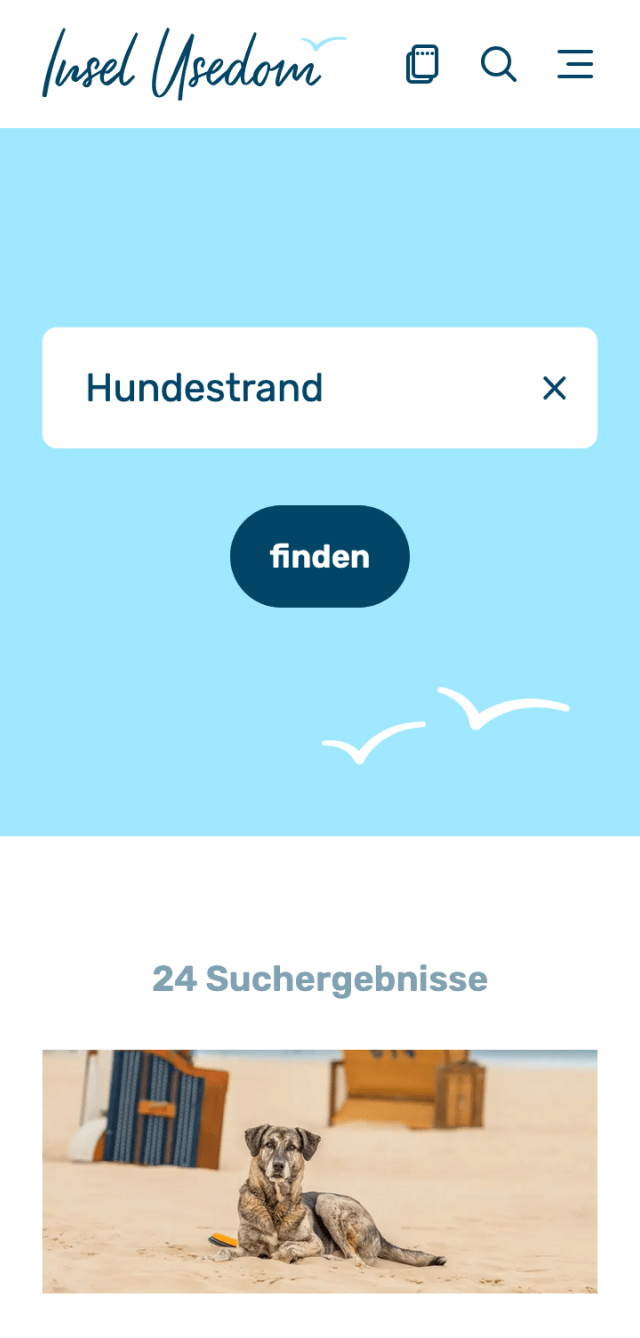 Screenshot einer Suchergebnisseite auf der Usedom-Website mit dem Suchbegriff 'Hundestrand'. Im oberen Bereich ein Eingabefeld mit dem Button 'finden' vor einem hellblauen Hintergrund mit Möwen-Grafik. Darunter die Überschrift '24 Suchergebnisse' und ein Bild eines Hundes am Strand mit Strandkörben im Hintergrund. Benutzerfreundliches Design für hundefreundliche Strandurlaube auf Usedom.