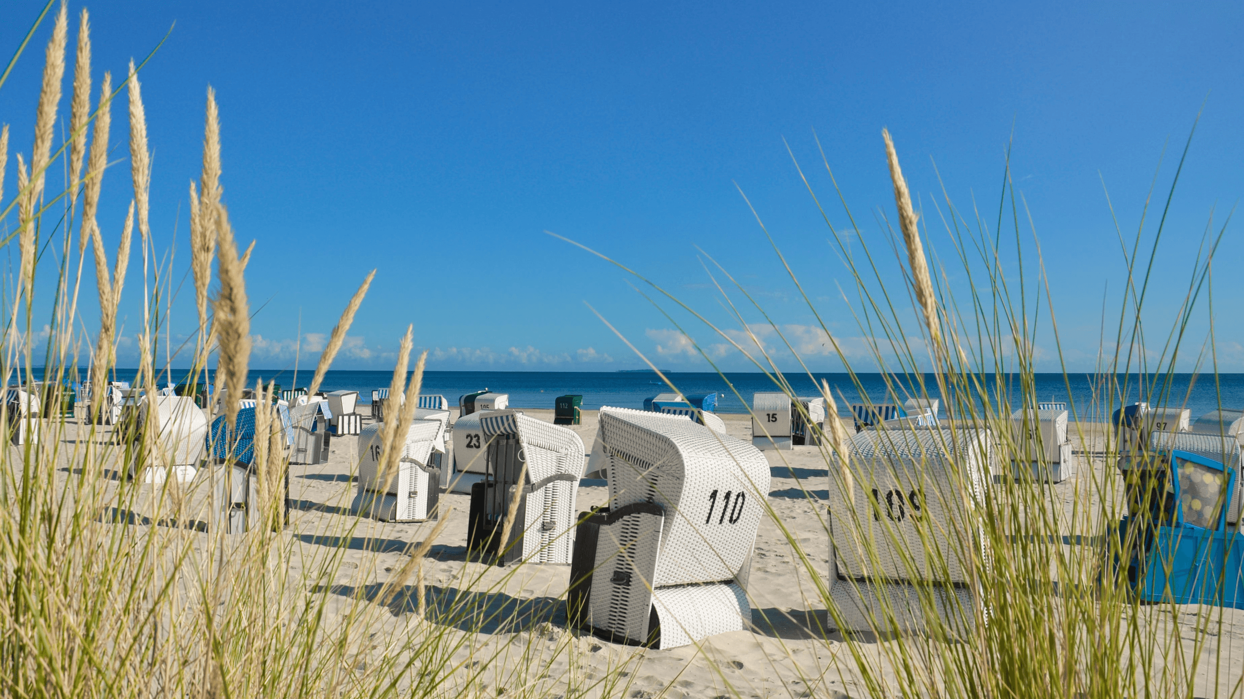 Strandkörbe an einem sonnigen Sandstrand mit Blick auf das Meer, umgeben von Dünengras unter klarem, blauem Himmel – Urlaubsidylle an der Ostsee