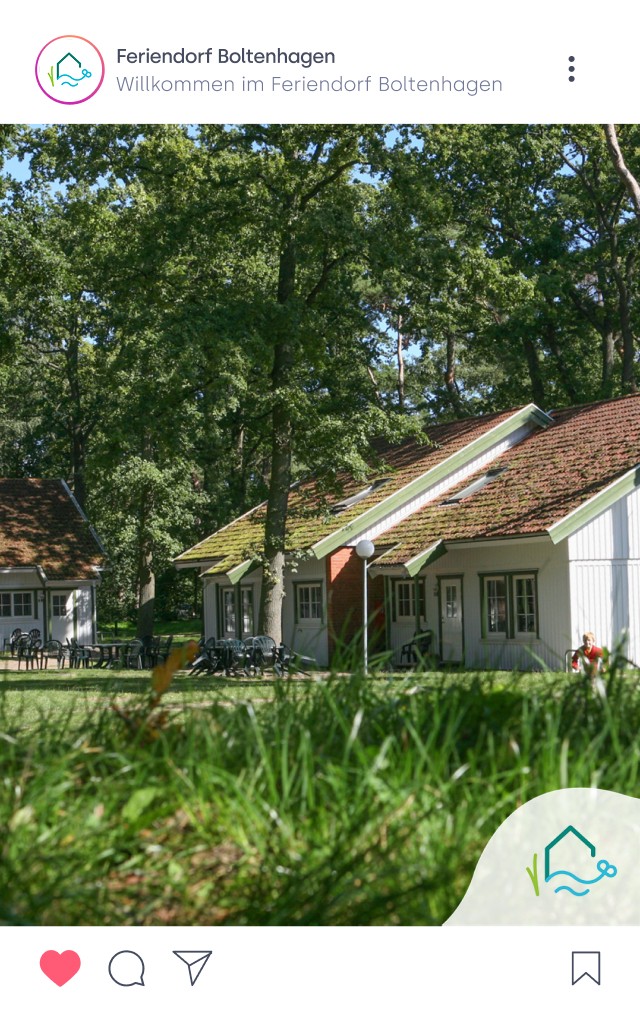 Ferienhäuser im Feriendorf Boltenhagen umgeben von Bäumen und Grünflächen.